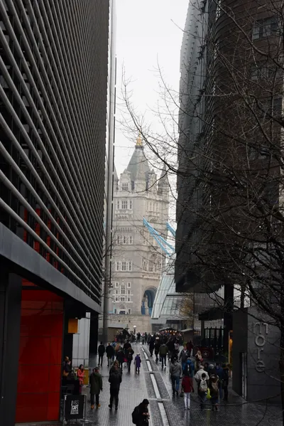 DSC_5886 (Large).JPG